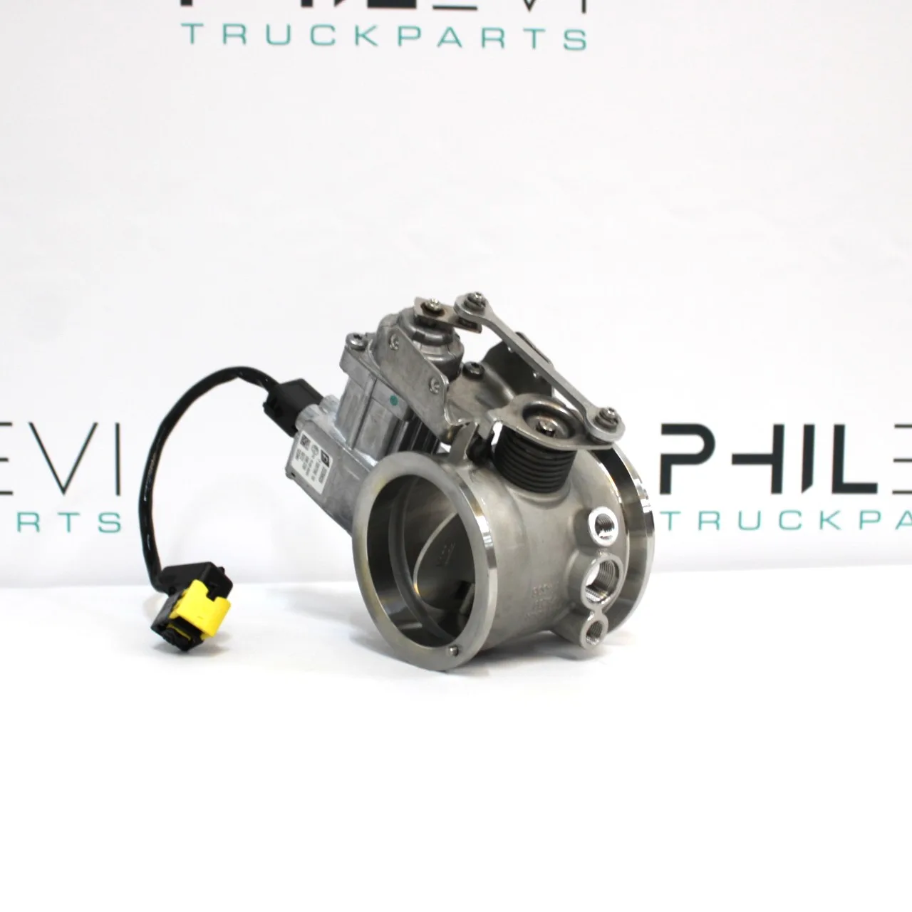 BPV valve DAF XG 2339629
